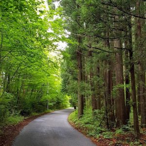 Japanese sceneries captured by eyes of a cyclist from Israel! day1