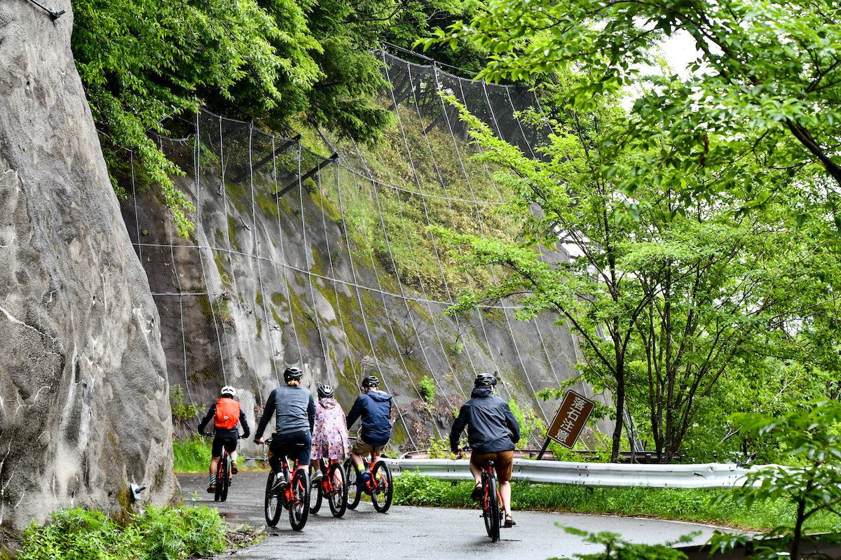 Hidden NIKKO E-Bike Tour