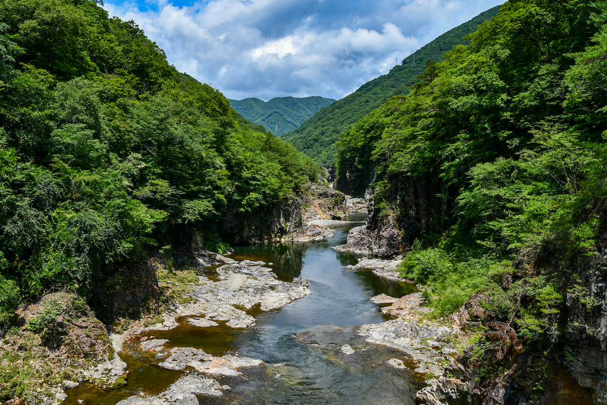 Hidden NIKKO E-Bike Tour