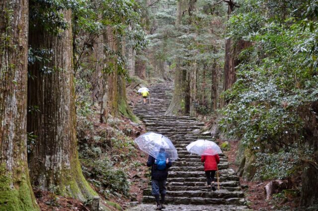 Cycle along the Pacific Ocean and visit Nachi Grand Shrine with holy giant Nachi Waterfall！”KUMANO-KODO Pilgrimage Bike & Hike Tour” day 5