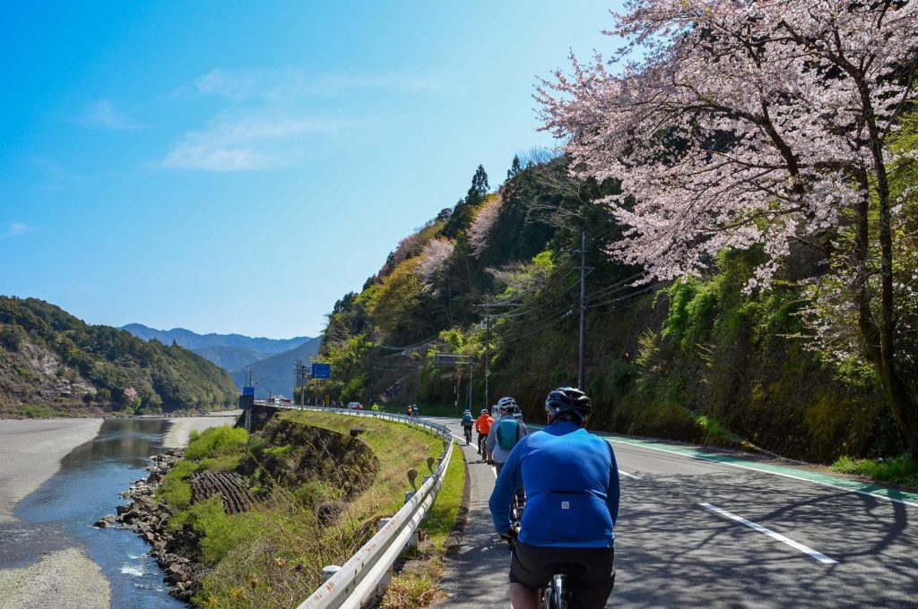 Visited an historical onsen town and the world’s largest Torii gate of Kumano Grand Shrine colored by Sakura blossoms！”KUMANO-KODO Pilgrimage Bike & Hike Tour” day 4