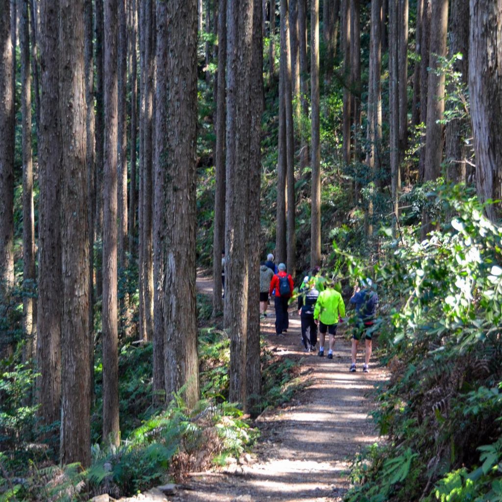 Ride through deep mountainside and riverside and visited mysterious grand shrine！The second “KUMANO-KODO Pilgrimage Bike & Hike Tour” day 3 and day 4