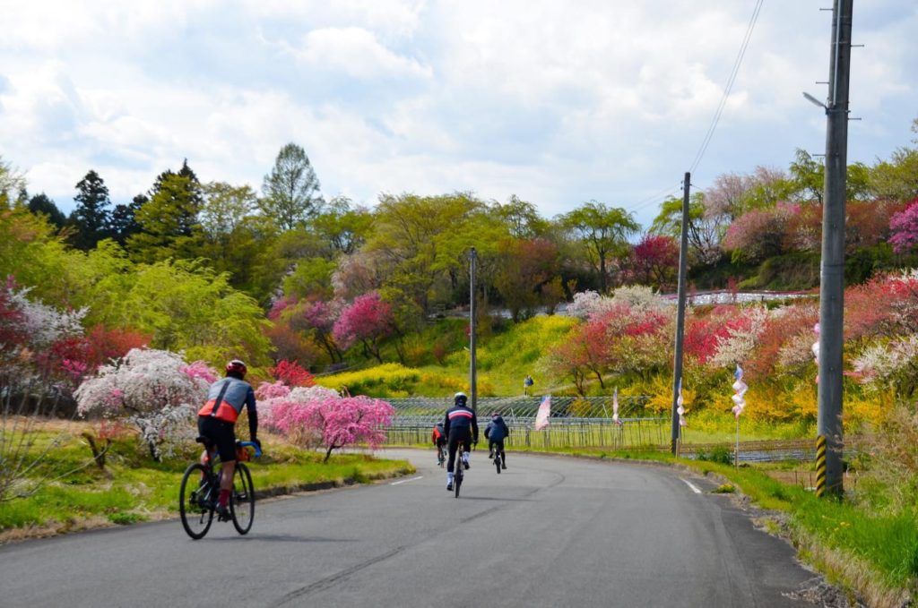 “Nasu – Sendai Sakura & Onsen Tour” stage 2