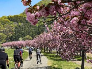 “Nasu – Sendai Sakura & Onsen Tour” stage 5