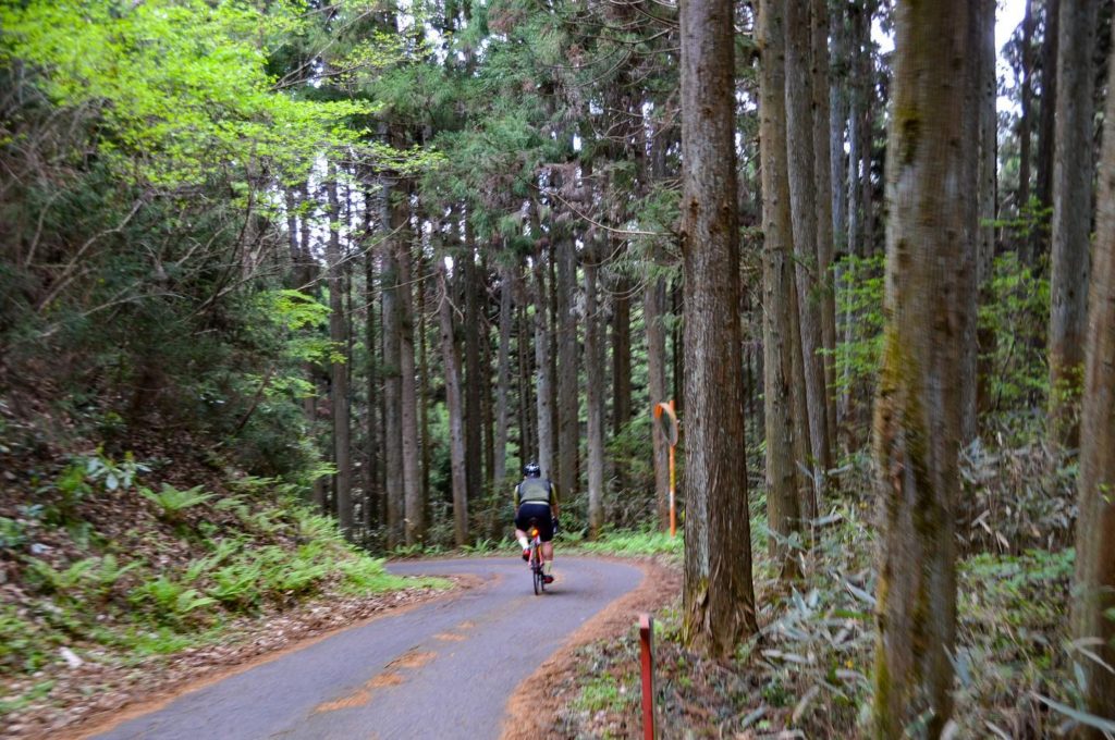 Ride through the seaside cycling road and aimed for beautiful islands floating Matsushima！“Nasu – Sendai Sakura & Onsen Tour” has finished！stage 6