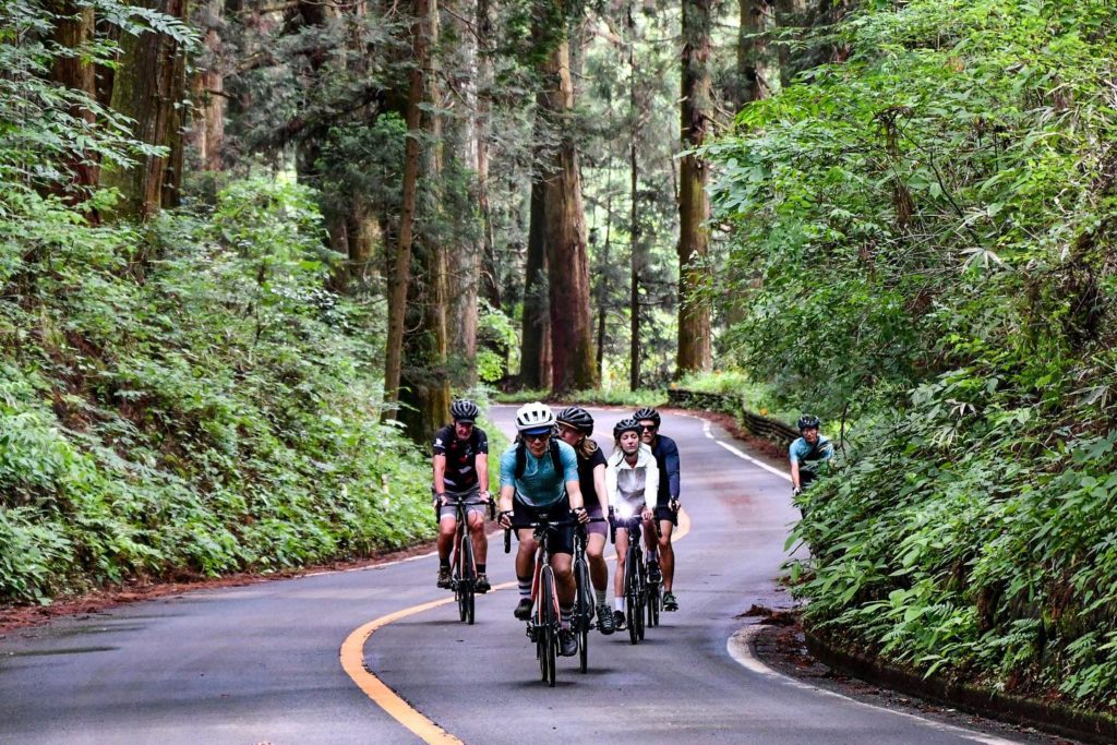 Ride through an ancient SAMURAI road surrounded by 400 years old giant cedar trees！The second “Foodies bike tour Nasu-Nikko” stage 3