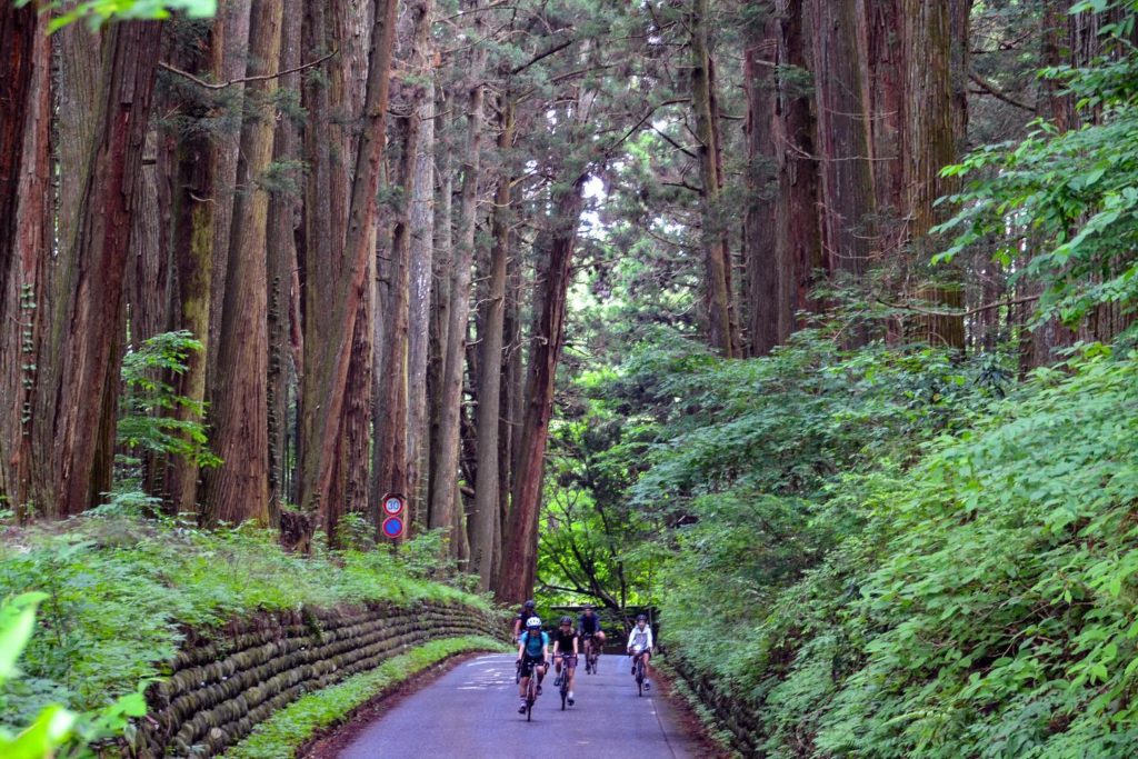 Ride through an ancient SAMURAI road surrounded by 400 years old giant cedar trees！The second “Foodies bike tour Nasu-Nikko” stage 3
