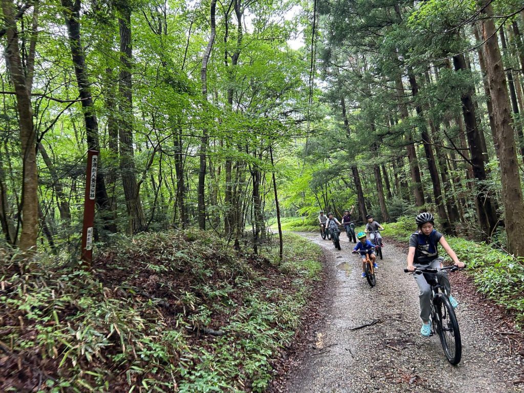 Available to international tourists , Forest Gravel Ride in Nasu！