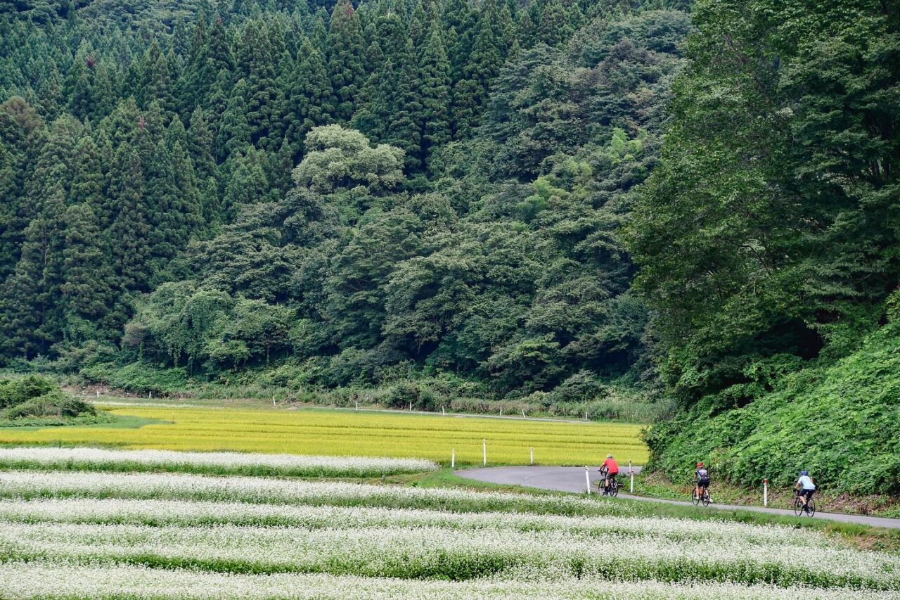 Visit the sacred waterfall and aim for the Sea of Japan！”TRANS-TOHOKU Bike Tour” stage 5