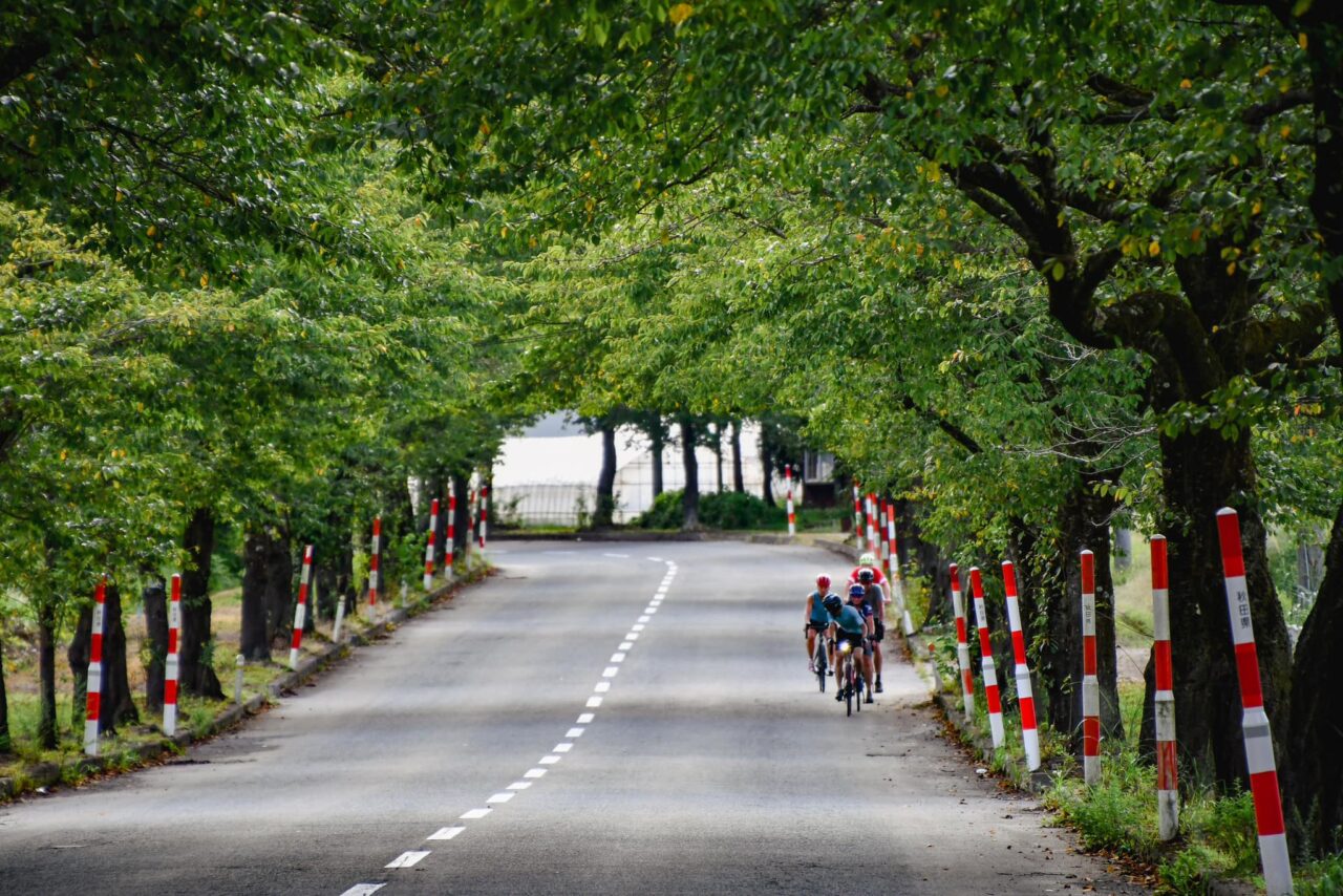 Ride along the beautiful Sea of Japan, visit historic samurai towns and experience traditional festivals！”TRANS-TOHOKU Bike Tour” stage 6