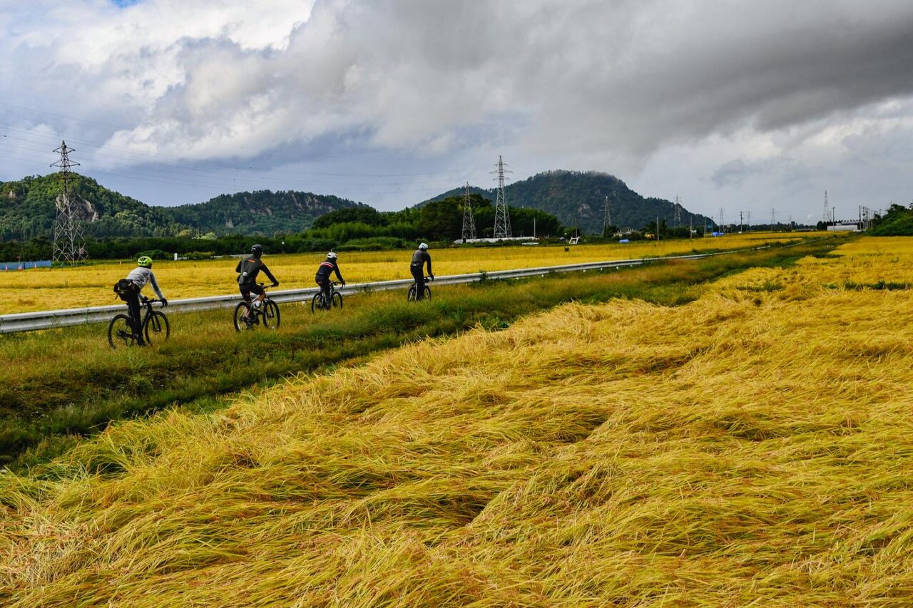 Ride through deep forests and golden rice fields！ “Aizu Gravel” monitoring tour stage 1