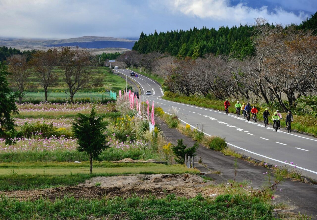 Cycling with a view of snow covered Mt. Fuji！ Fuji-Izu cycling tour stage 1 and 2