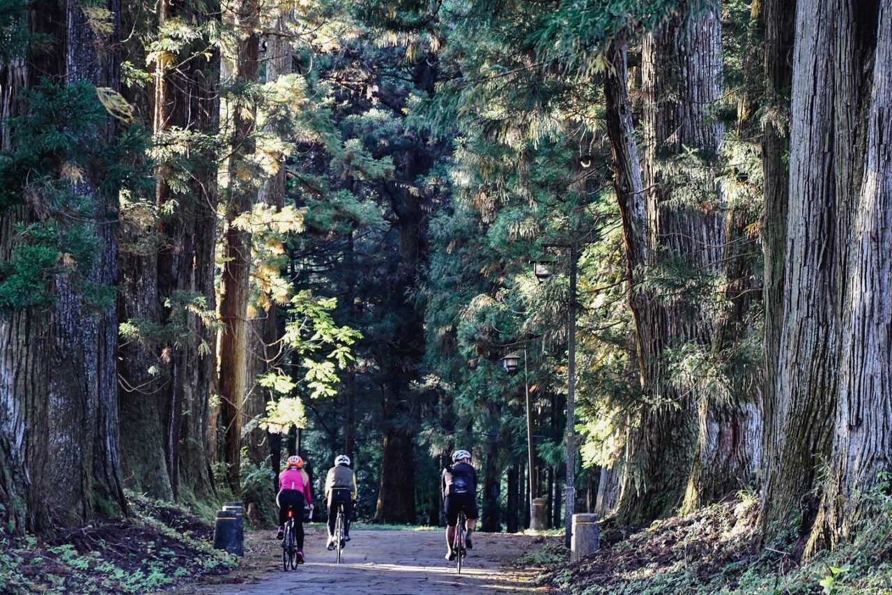 Feel the beautiful autumn leaves and the sacred cedar trees！“Foodies bike tour Nasu-Nikko” stage 3