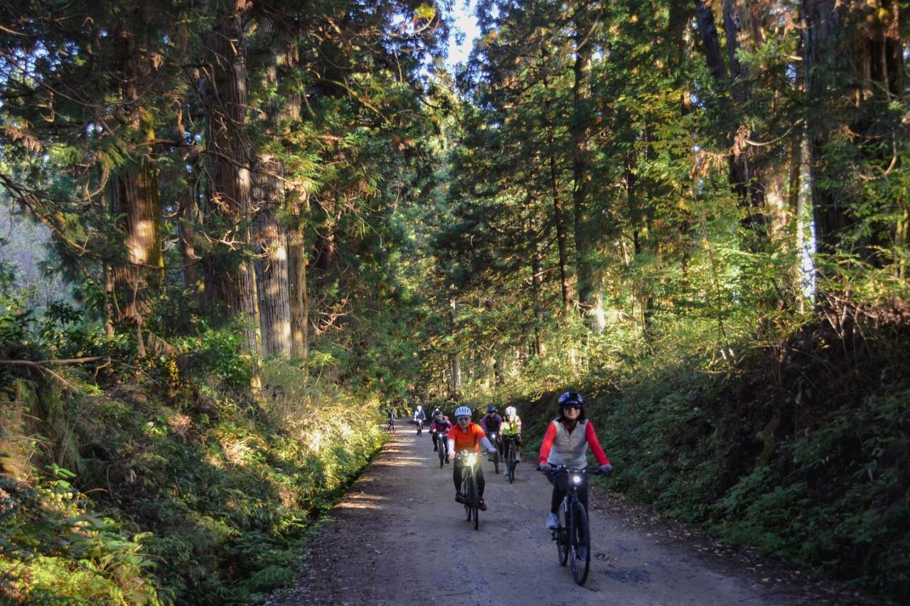 Cycle into ancient pilgrimage road by 400 years old giant cedar trees and visit historic Nikko！“Foodie’s Bike Tour Nasu-Nikko Autumn version” stage 4