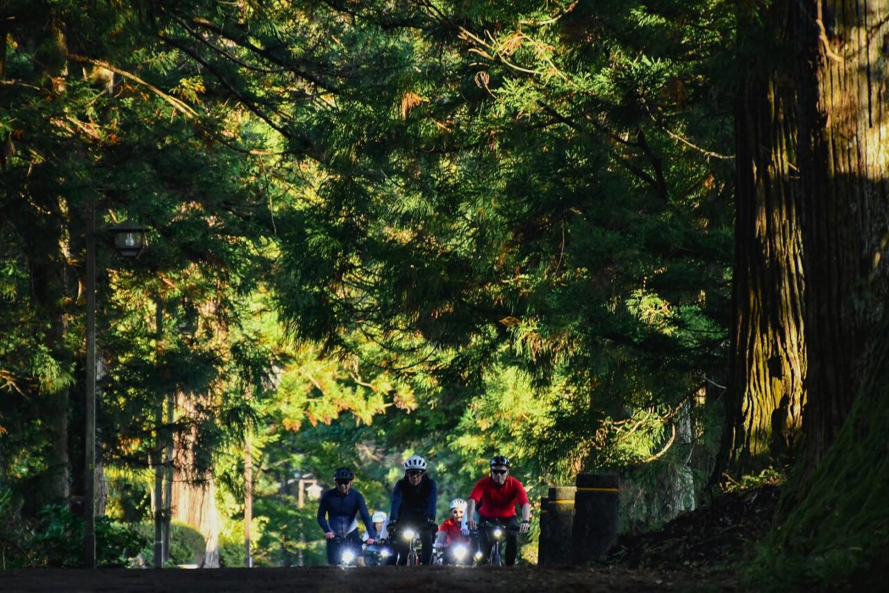 Cycle into ancient pilgrimage road by 400 years old giant cedar trees and visit historic Nikko！“Foodie’s Bike Tour Nasu-Nikko Autumn version” stage 4