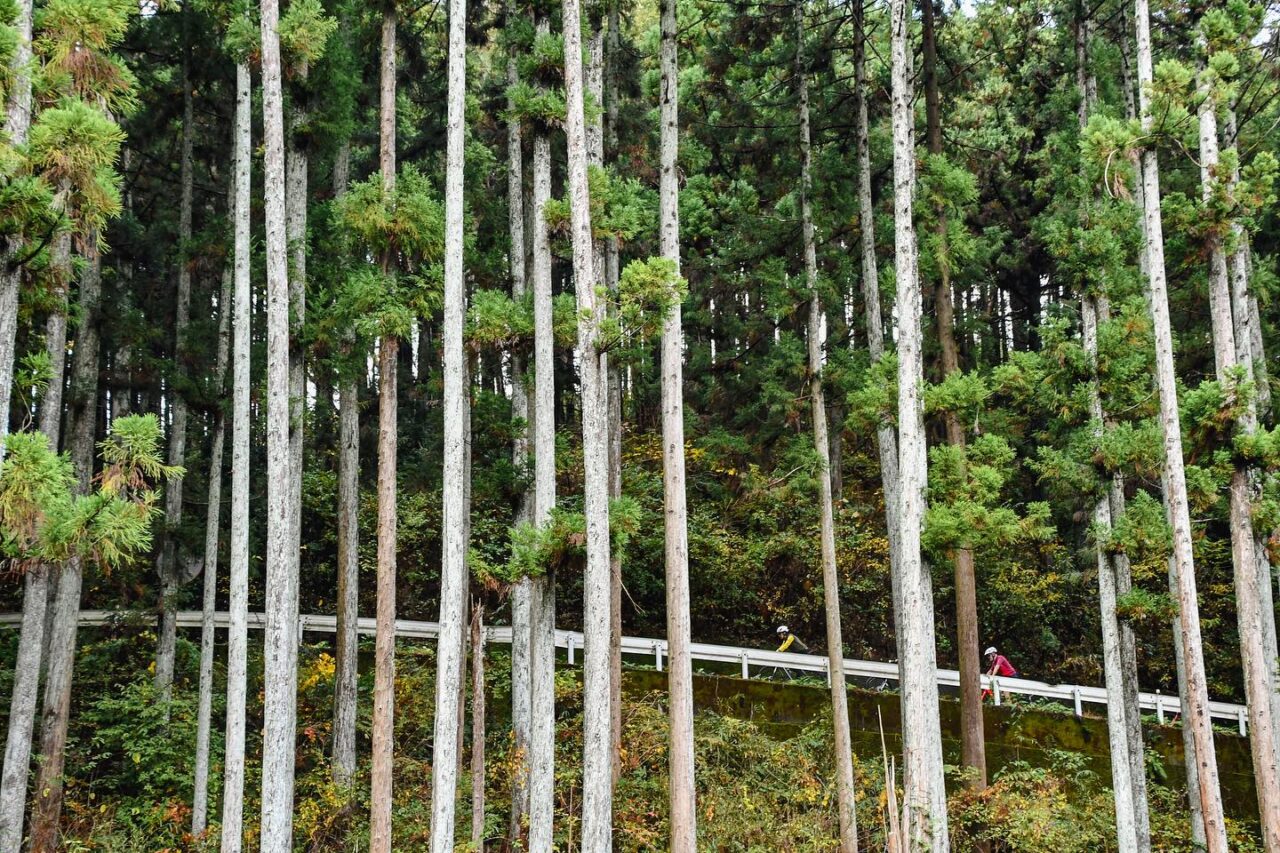 Cycling on the gravel road and experiencing Nasu’s traditional crafts using local bamboo！“Gravel & Craft Nasu -Mashiko” stage 1