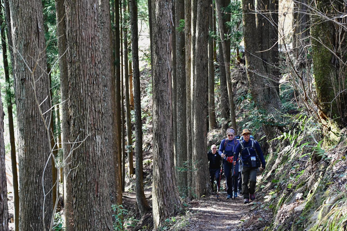 Embark on a journey of spiritual discovery on our KUMANO-KODO Pilgrimage Bike & Hike Tour