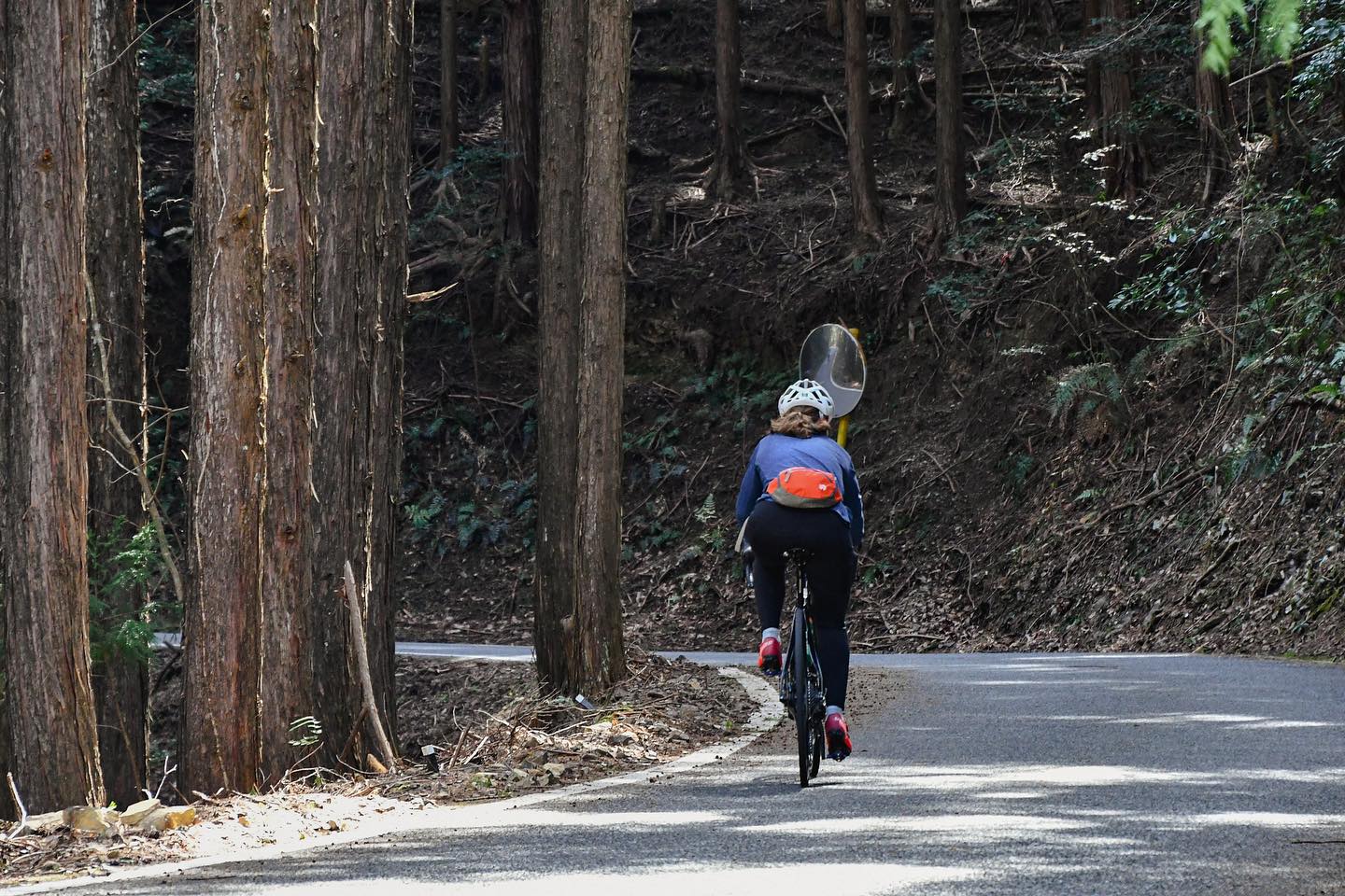 Embark on a journey of spiritual discovery on our KUMANO-KODO Pilgrimage Bike & Hike Tour