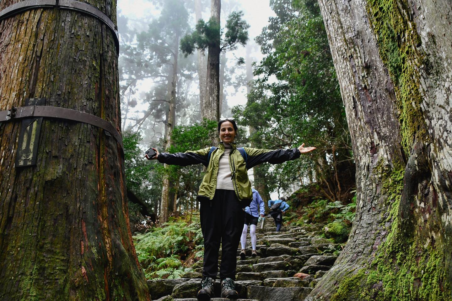 Scenic Symphony: A day of diverse delights on the KUMANO-KODO Pilgrimage Tour
