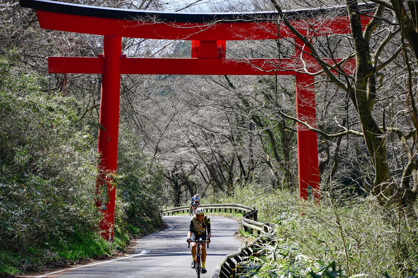 Exploring mountain shrines and dam lakes on Nasu – Sendai Sakura Tour 2024
