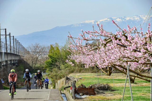 Exploring mountain shrines and dam lakes on Nasu – Sendai Sakura Tour 2024