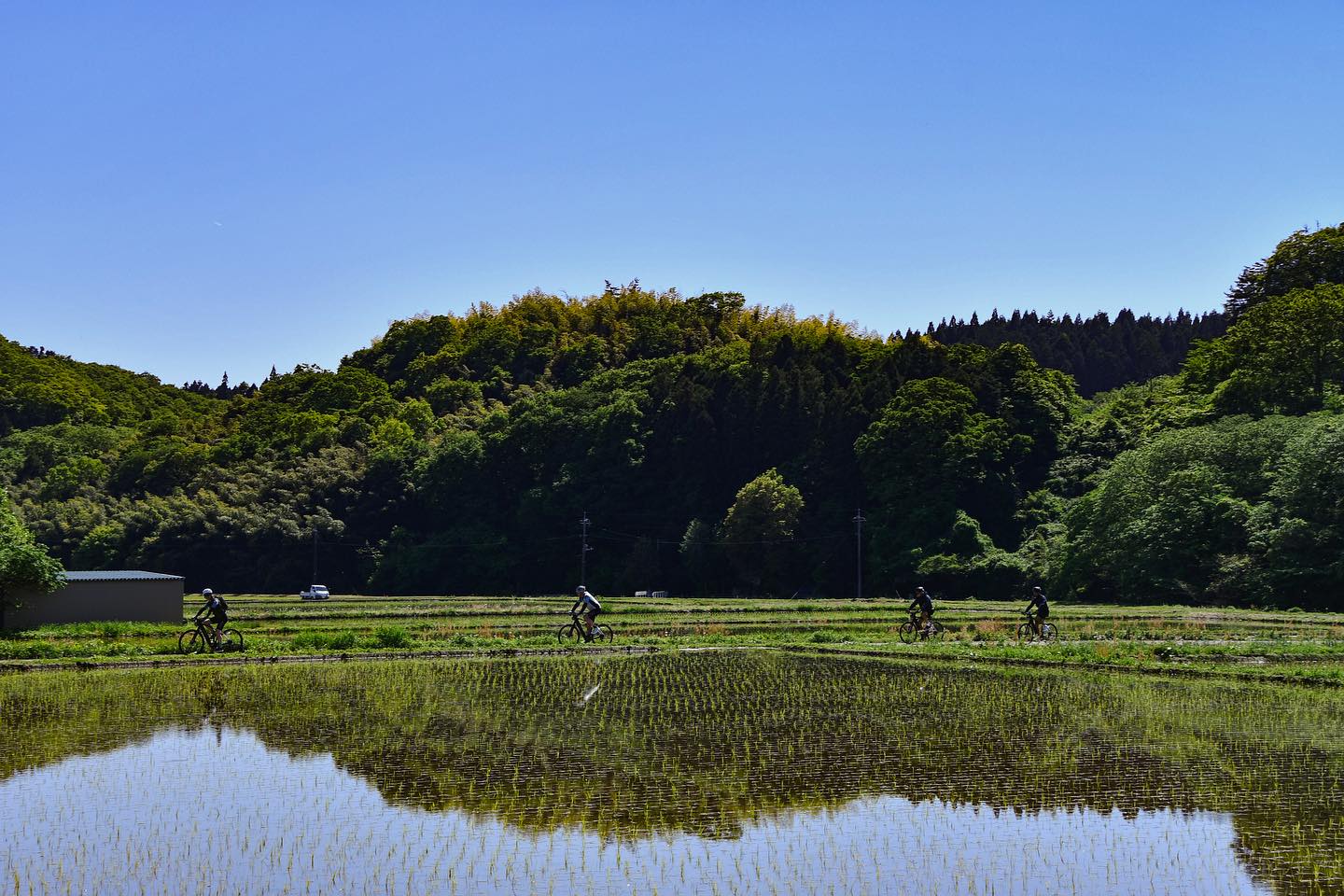 Admire a scenic contrast to your neighboring landscape