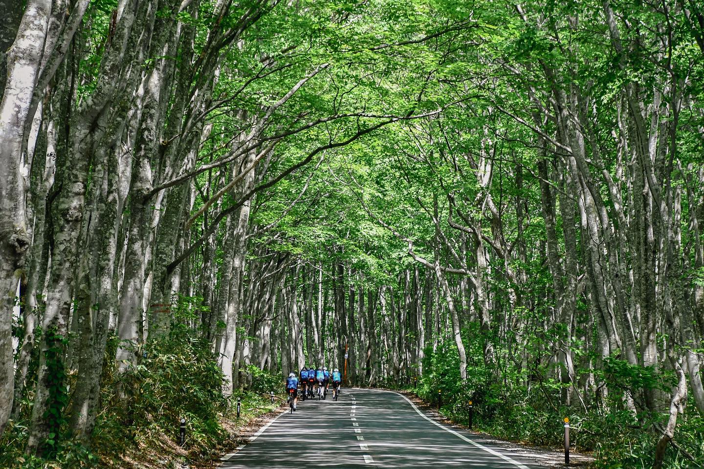 Magnificent nature in Tohoku awaits you