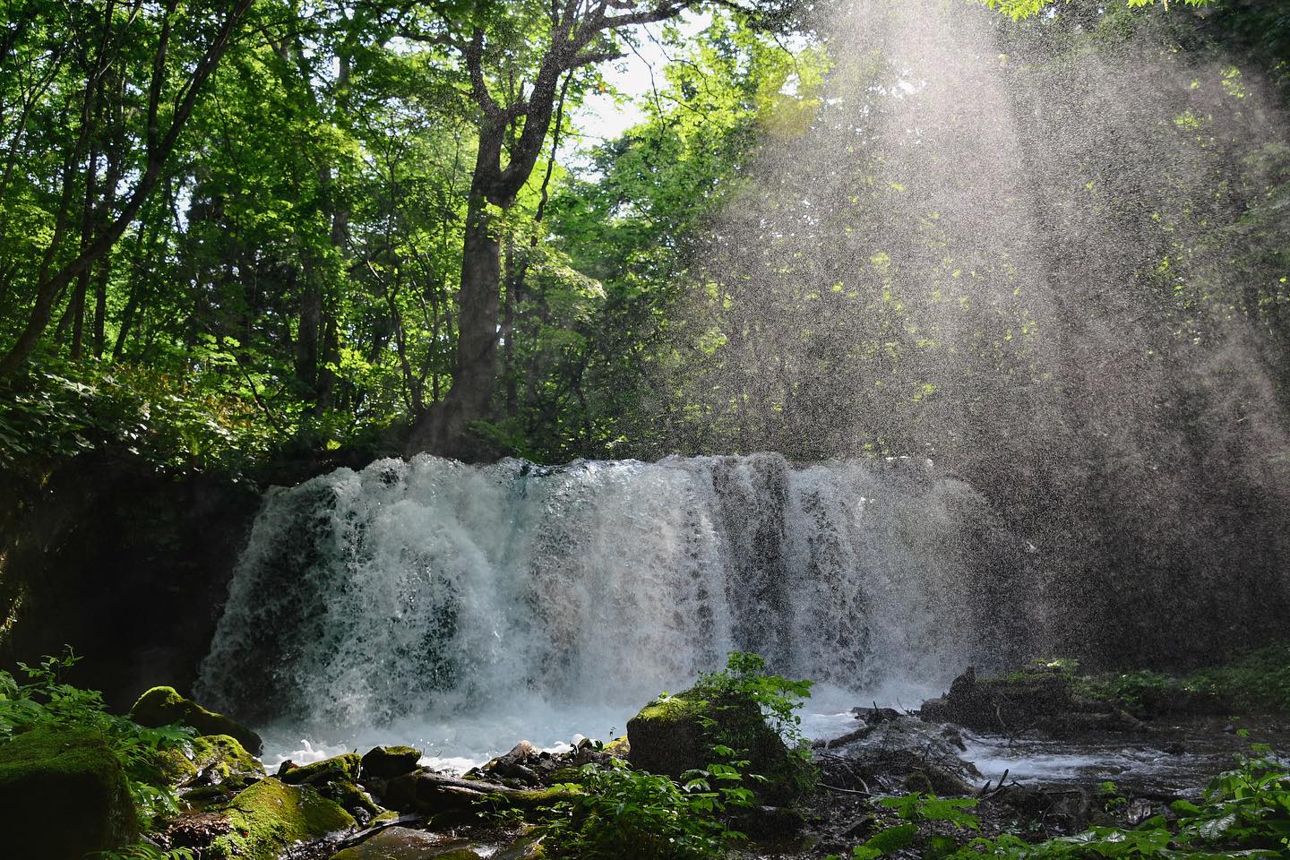 Magnificent nature in Tohoku awaits you