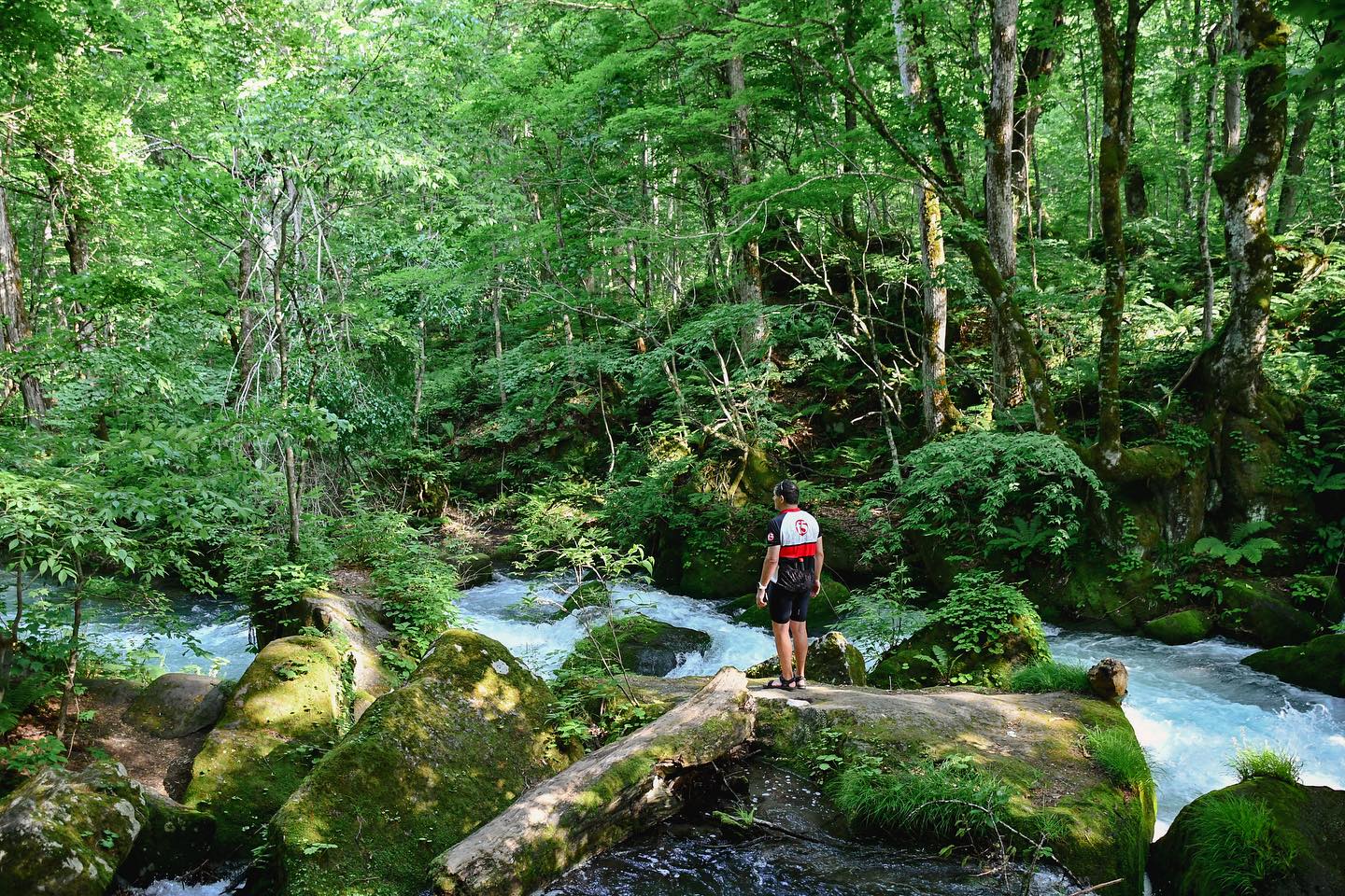 Magnificent nature in Tohoku awaits you