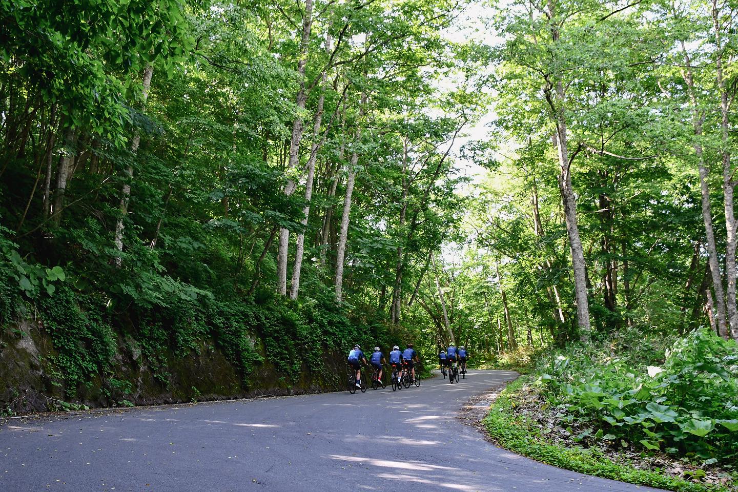 Magnificent nature in Tohoku awaits you