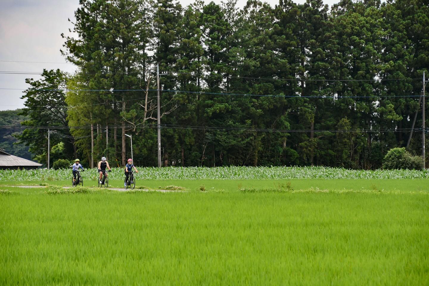 Experience the local beauty through biking and hiking