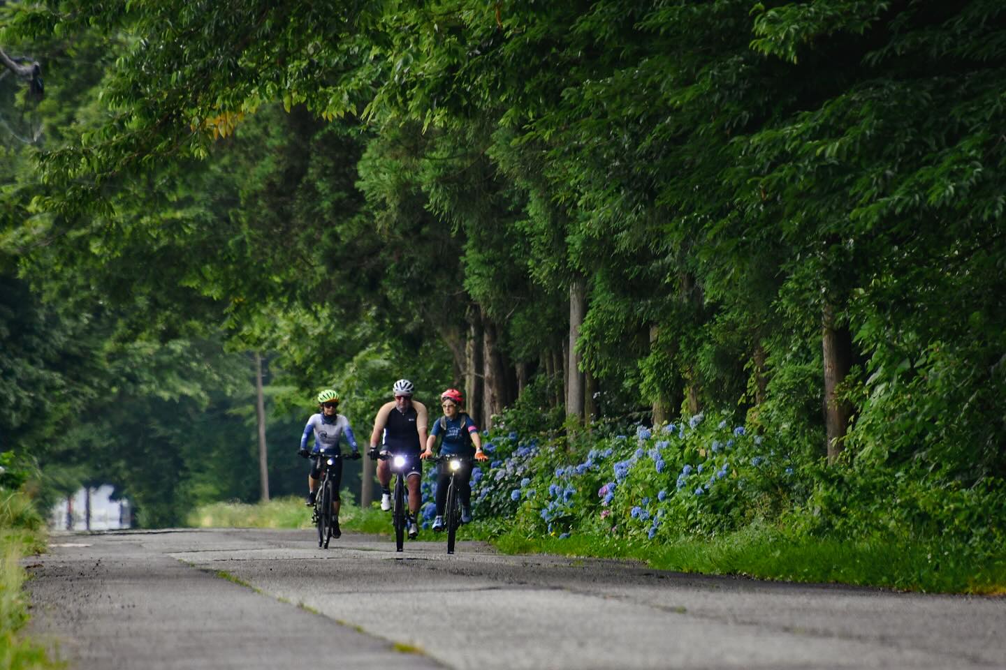 Experience the local beauty through biking and hiking