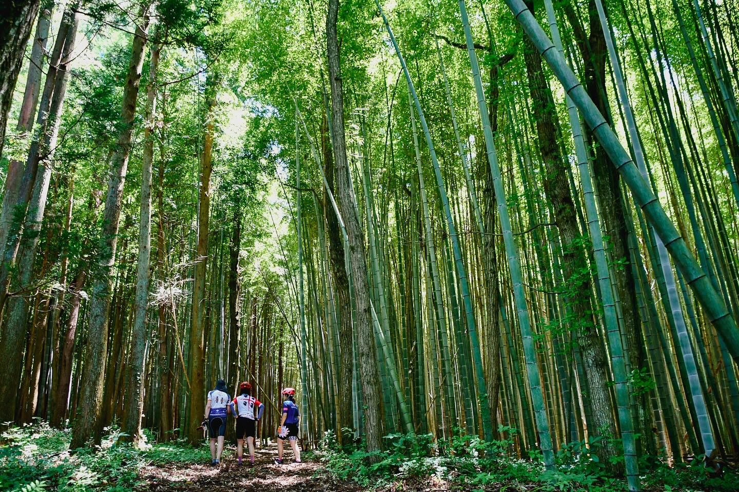 More than just a food: A Scenic Bike Adventure