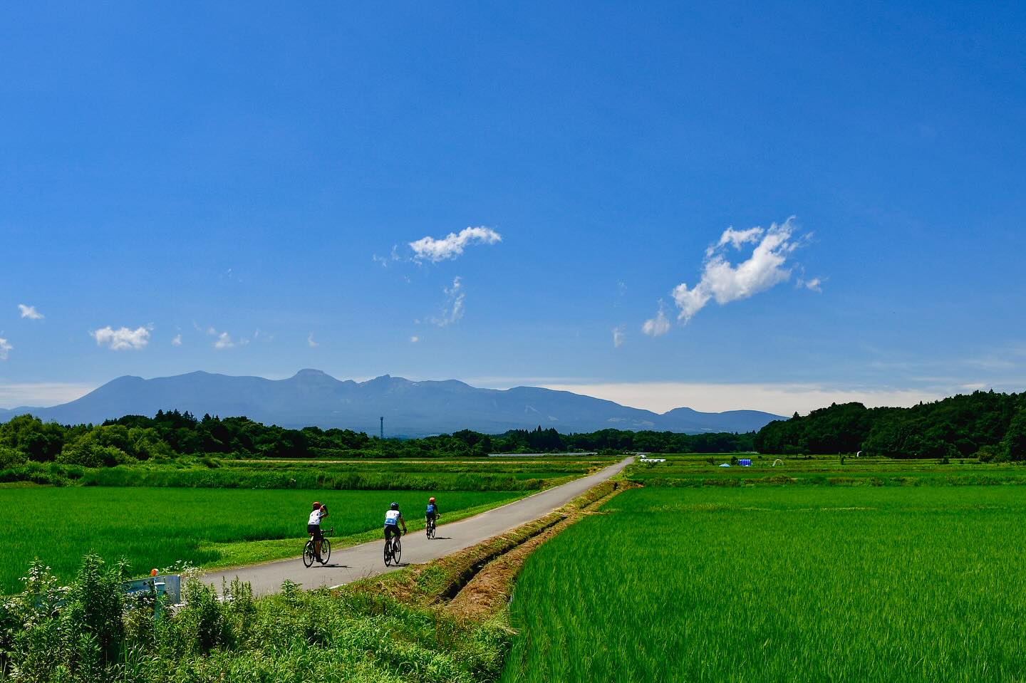 More than just a food: A Scenic Bike Adventure