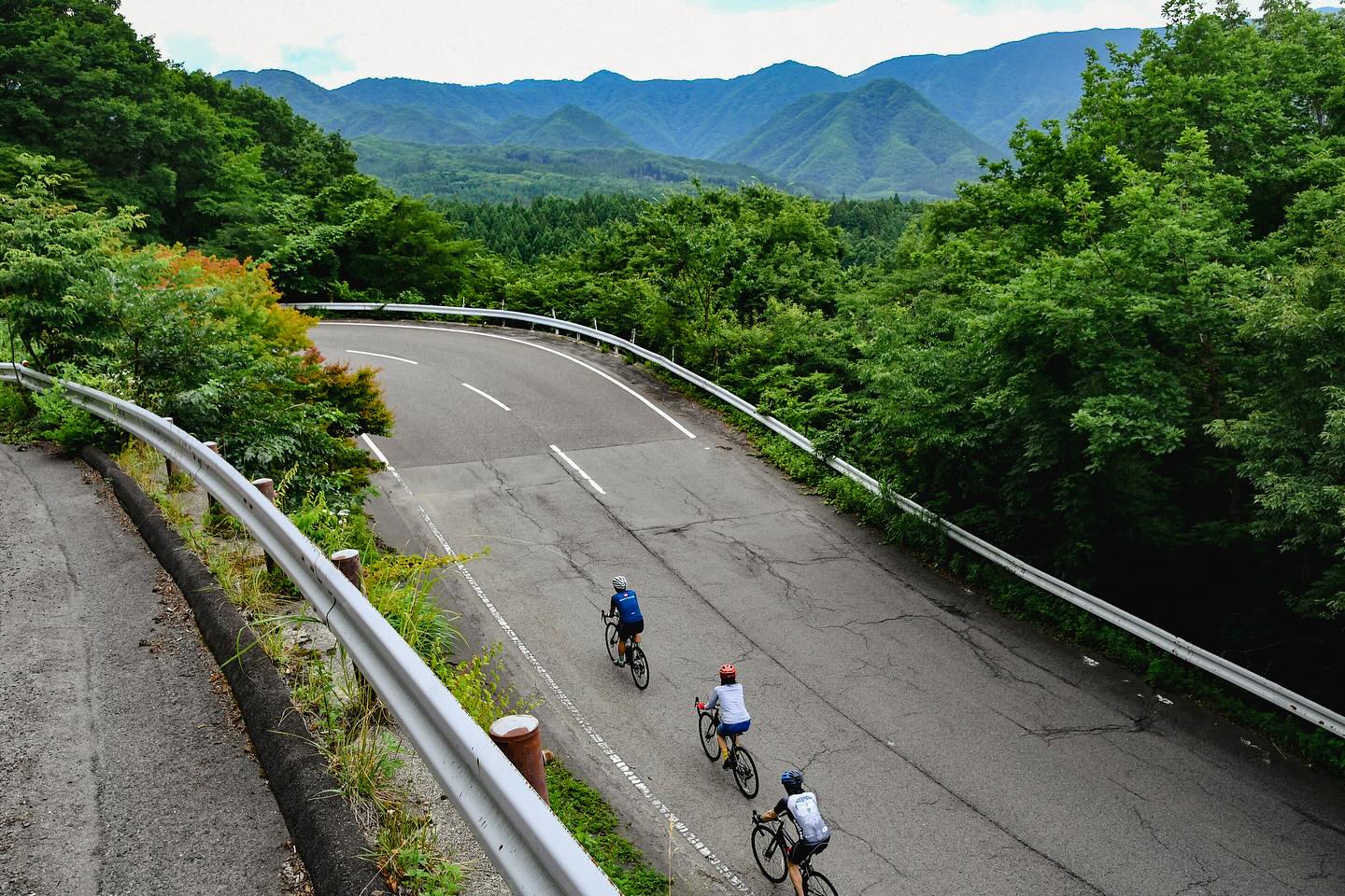 More than just a food: A Scenic Bike Adventure