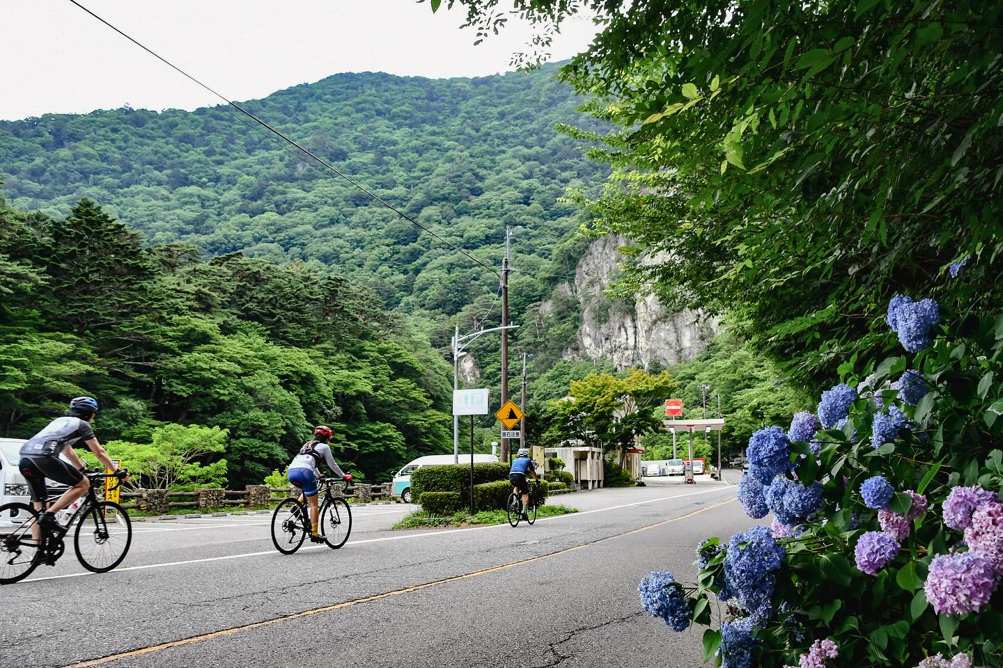 More than just a food: A Scenic Bike Adventure