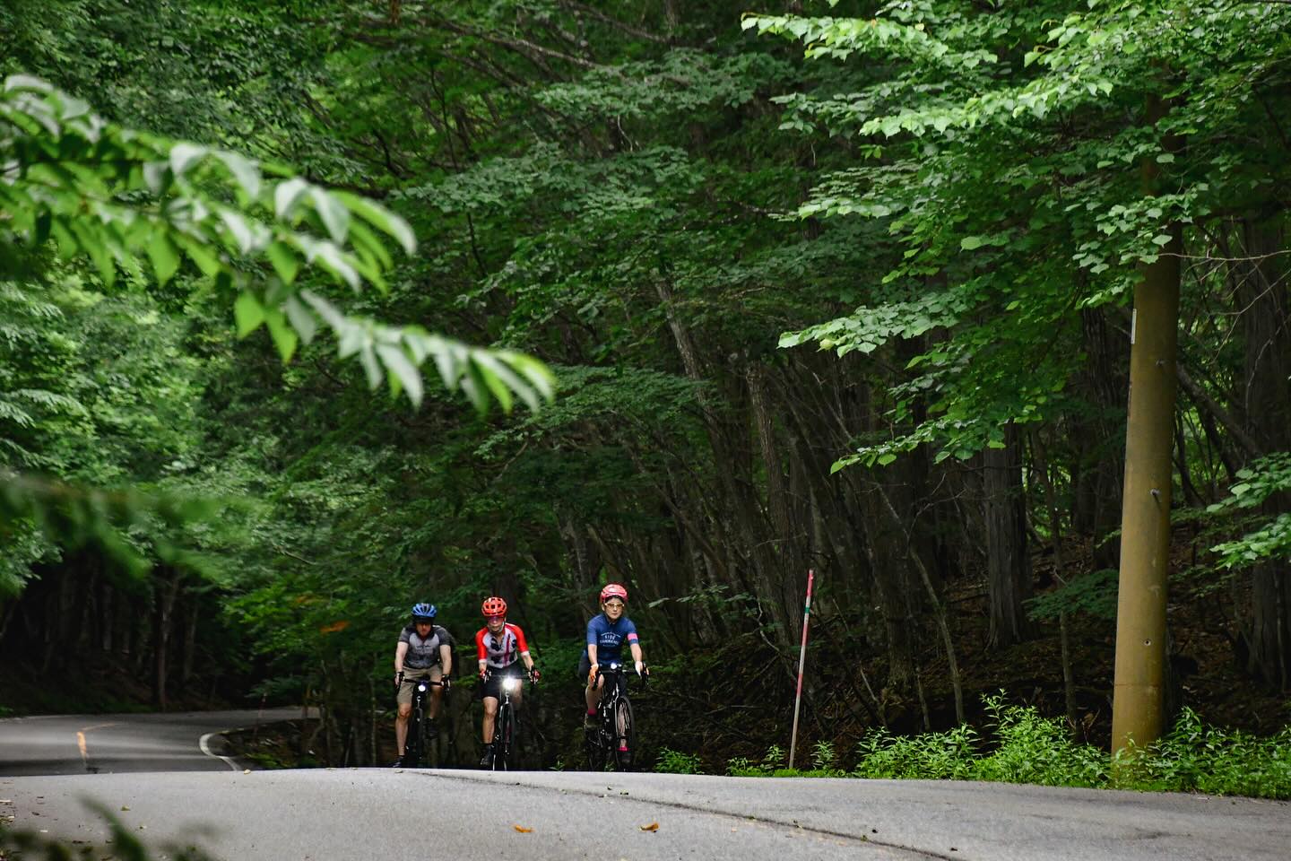 Explore Nikko National Park