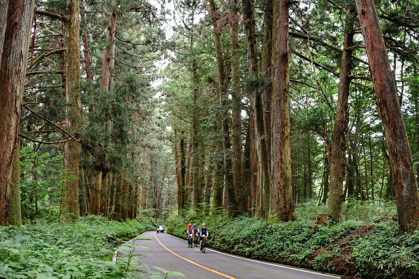 Explore Nikko National Park