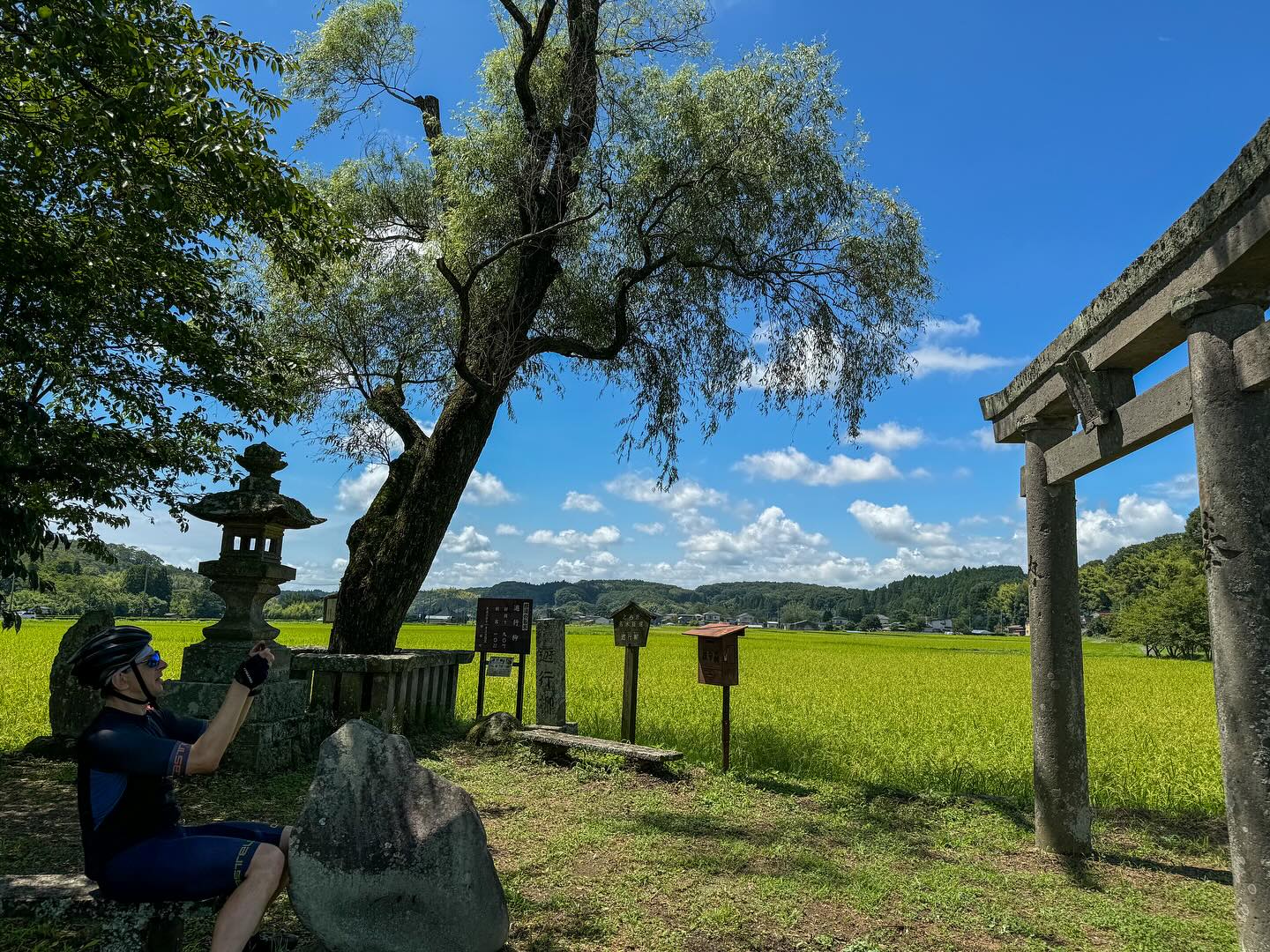 Dive into the heart of Nasu