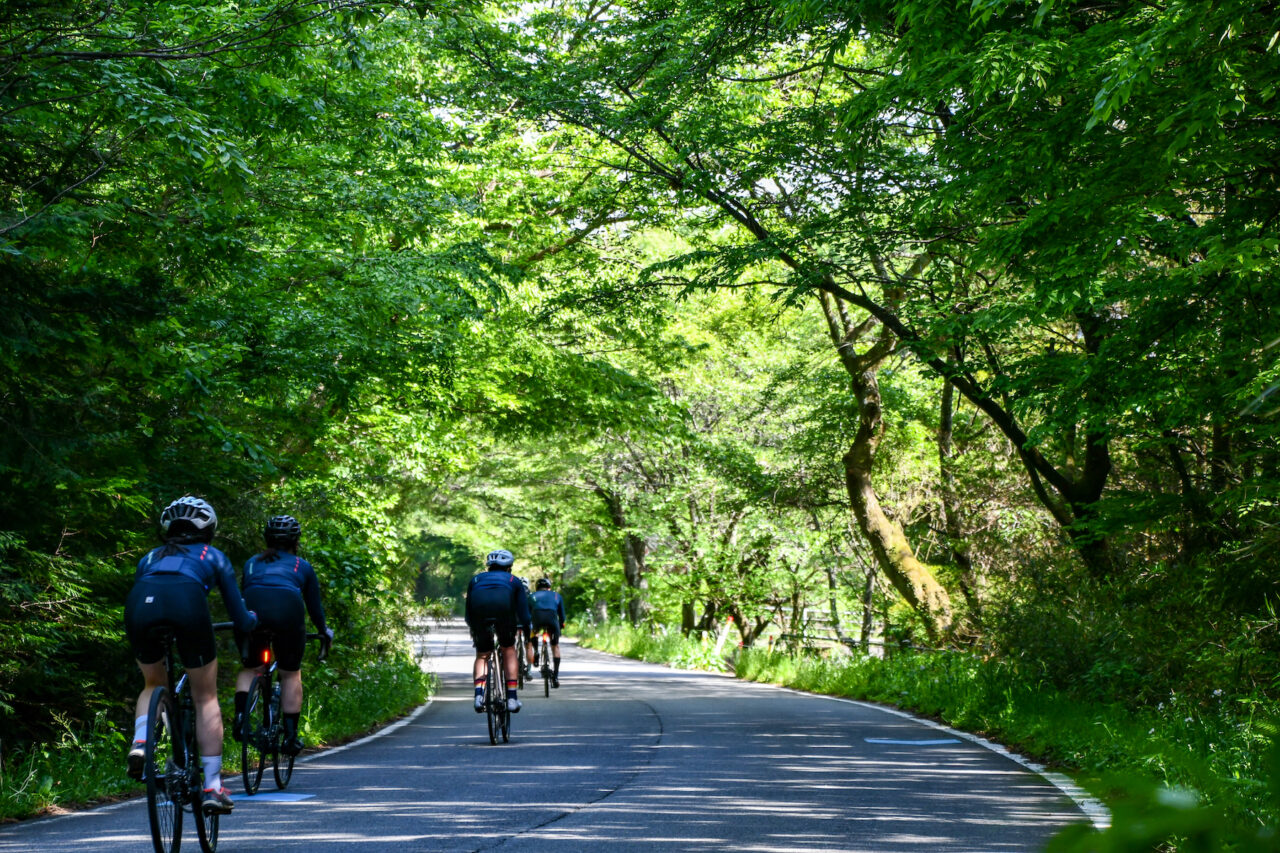 Nasu Slow Life E-Bike Tour