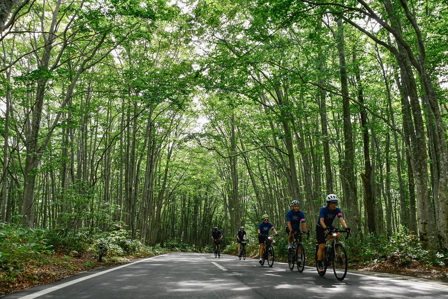 A Journey Through Peaks and Lakes: The Finale of TRANS-TOHOKU