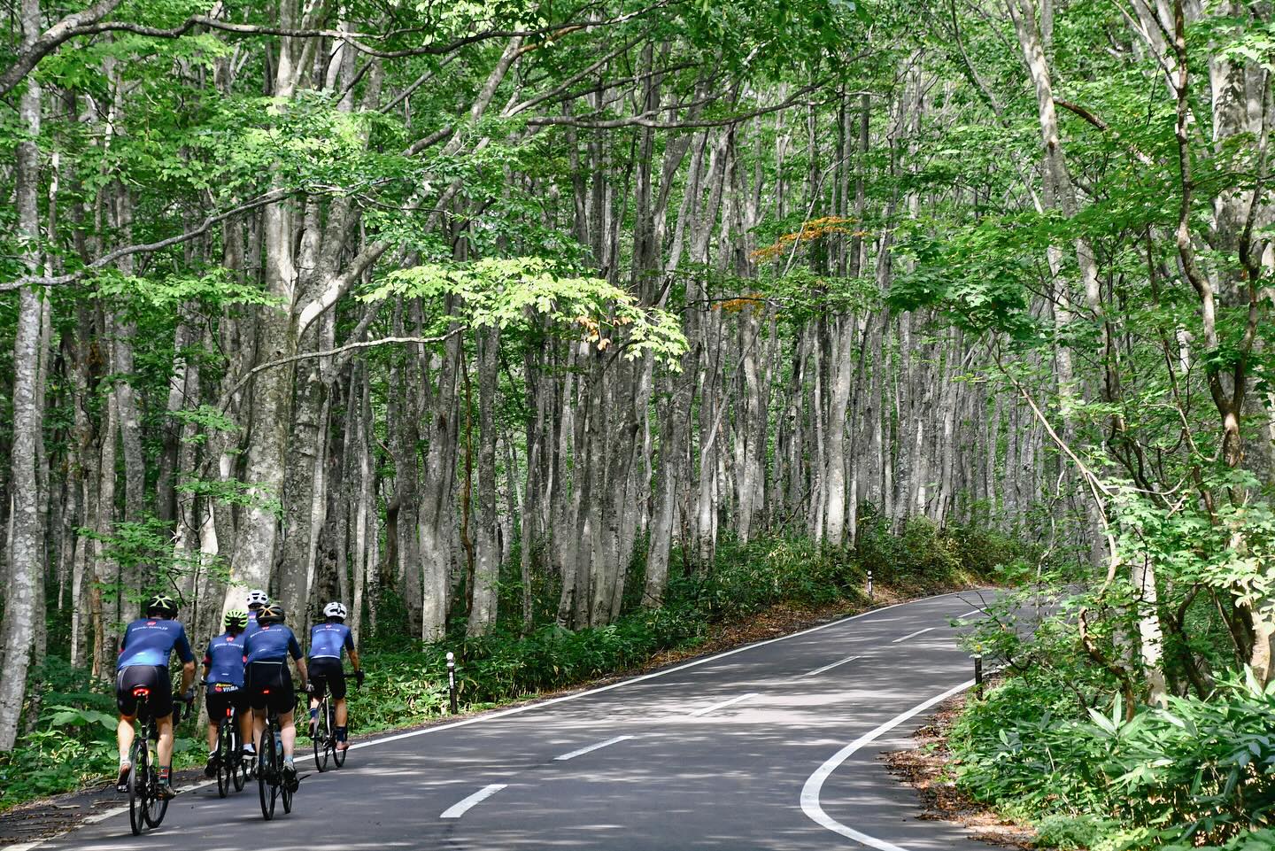 A Journey Through Peaks and Lakes: The Finale of TRANS-TOHOKU