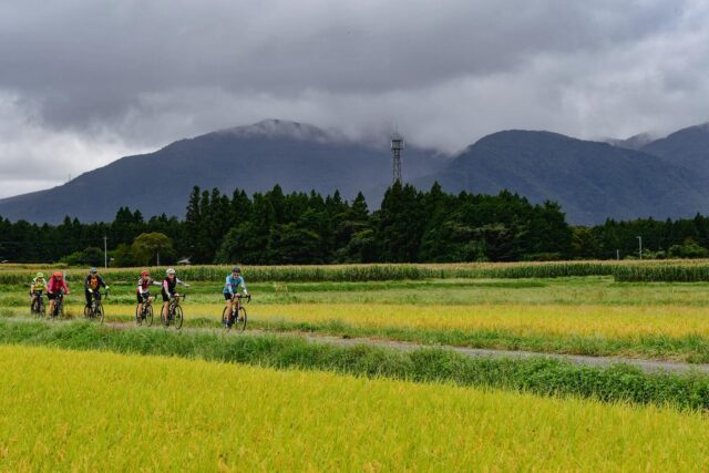 Cycling through Japanese food culture