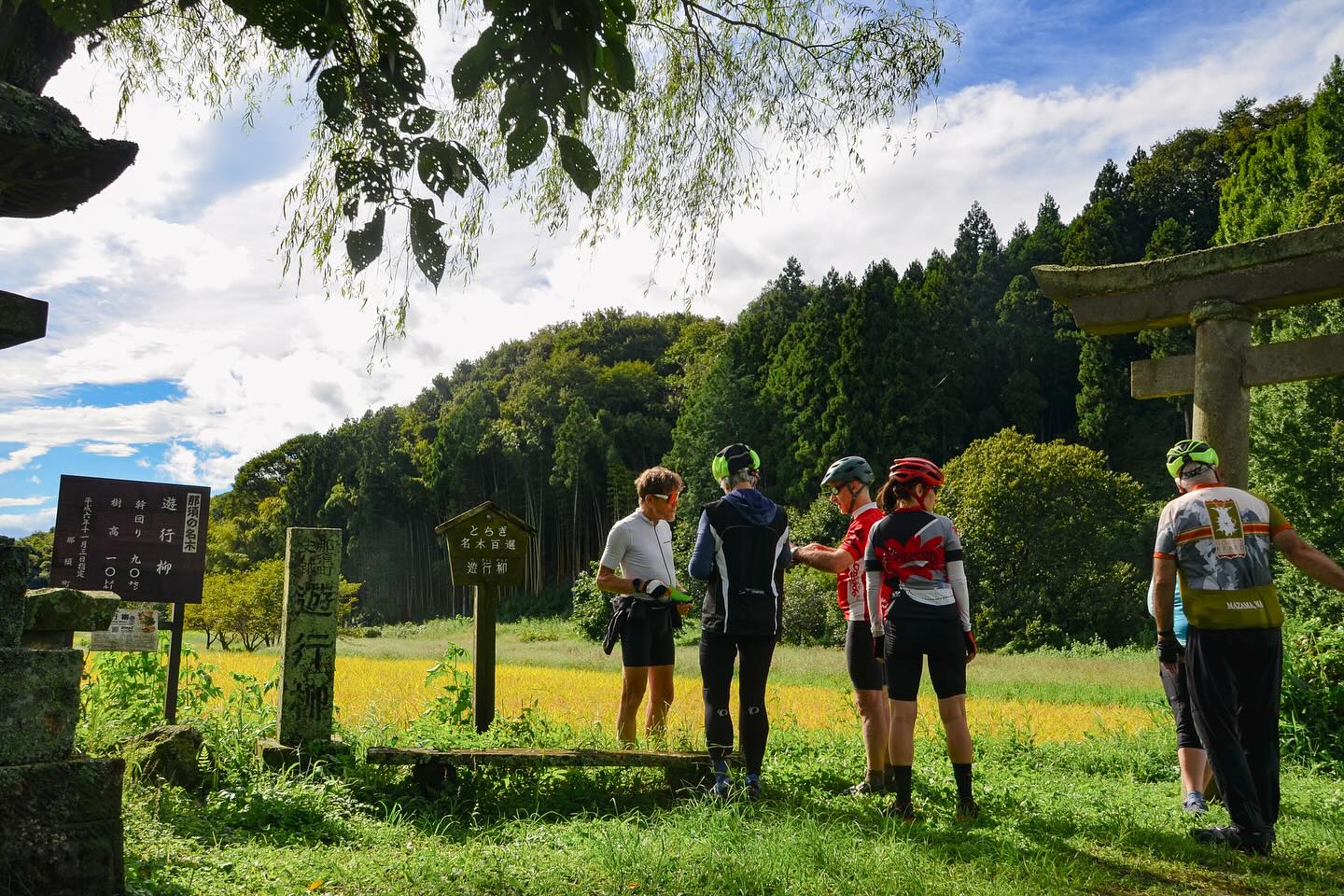 Cycling through Japanese food culture