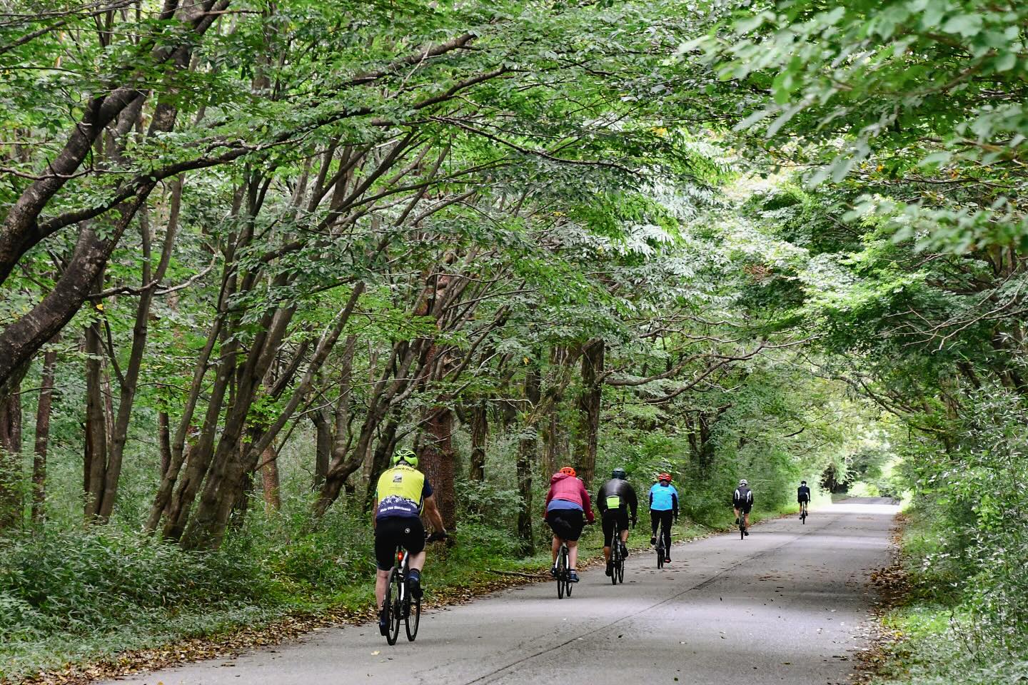 Cycling through Japanese food culture