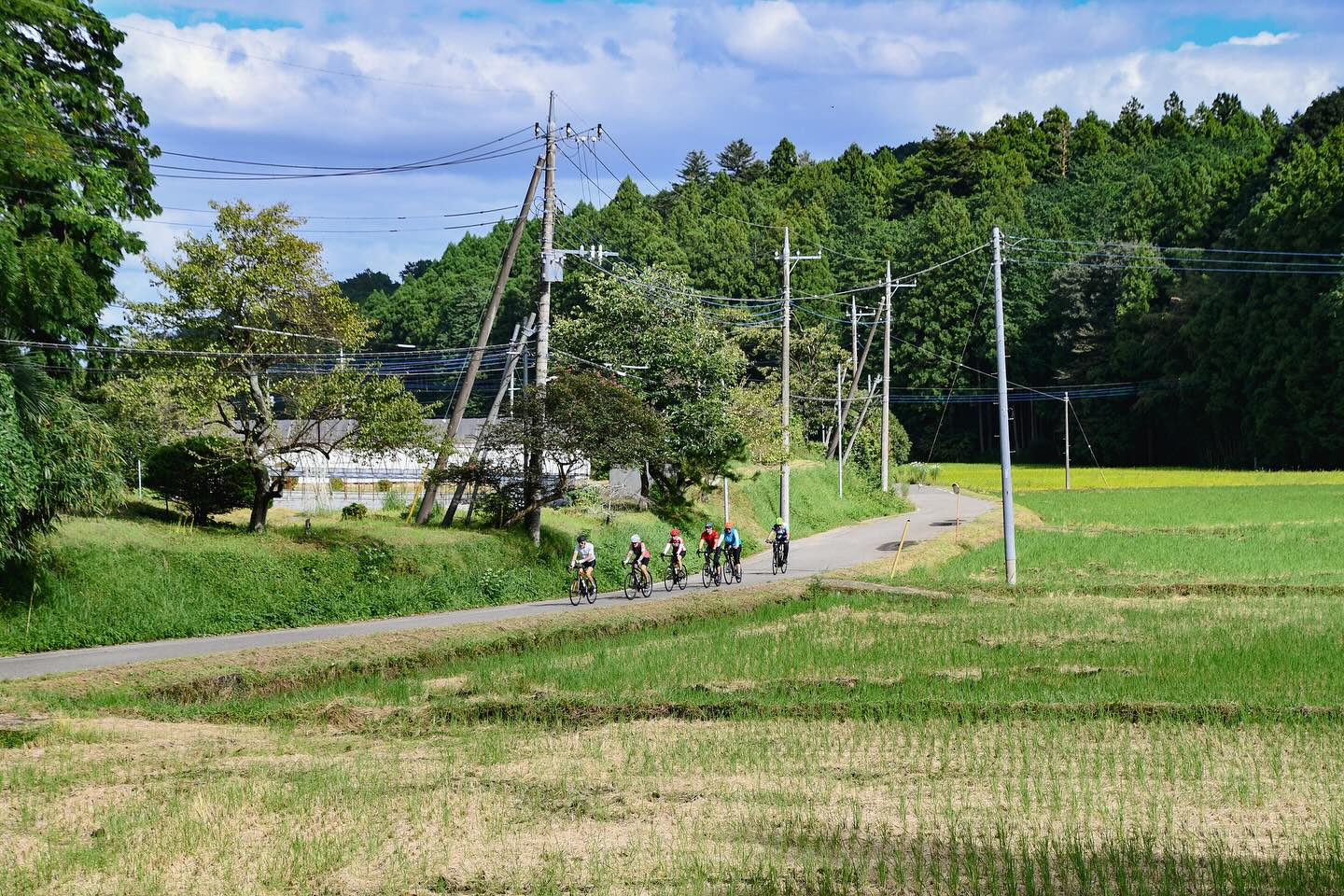 Samurai Trails and Spiritual Sights: The Ultimate Nikko Experience