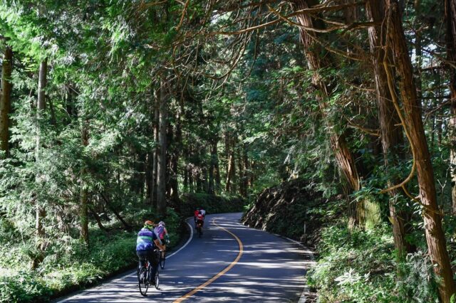 Samurai Trails and Spiritual Sights: The Ultimate Nikko Experience