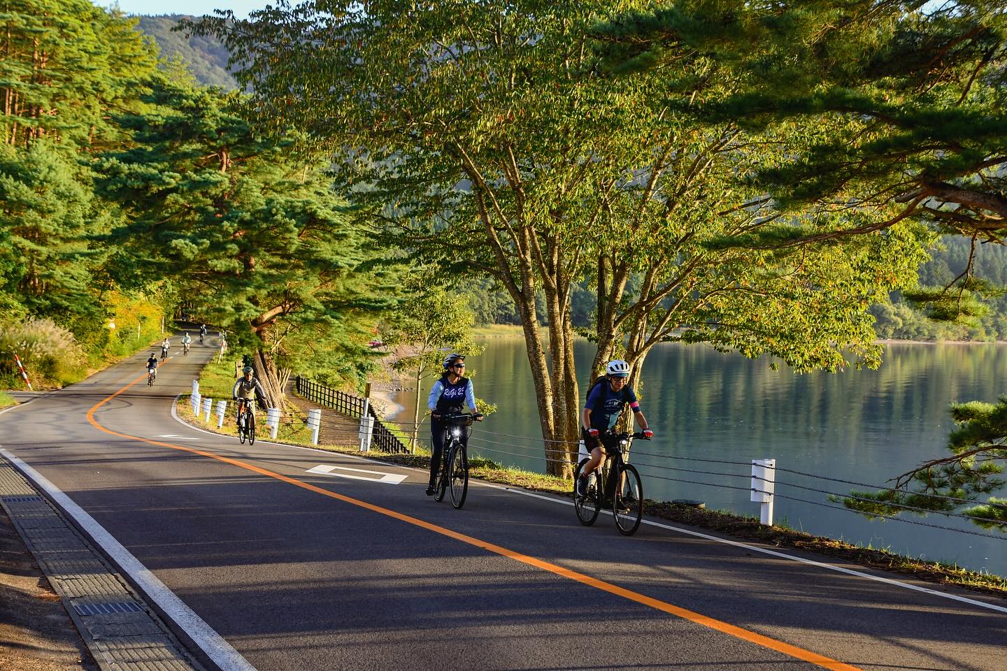 Colors of Autumn: Private Tours in Northern Japan