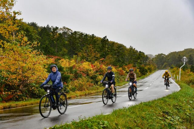 Colors of Autumn: Private Tours in Northern Japan