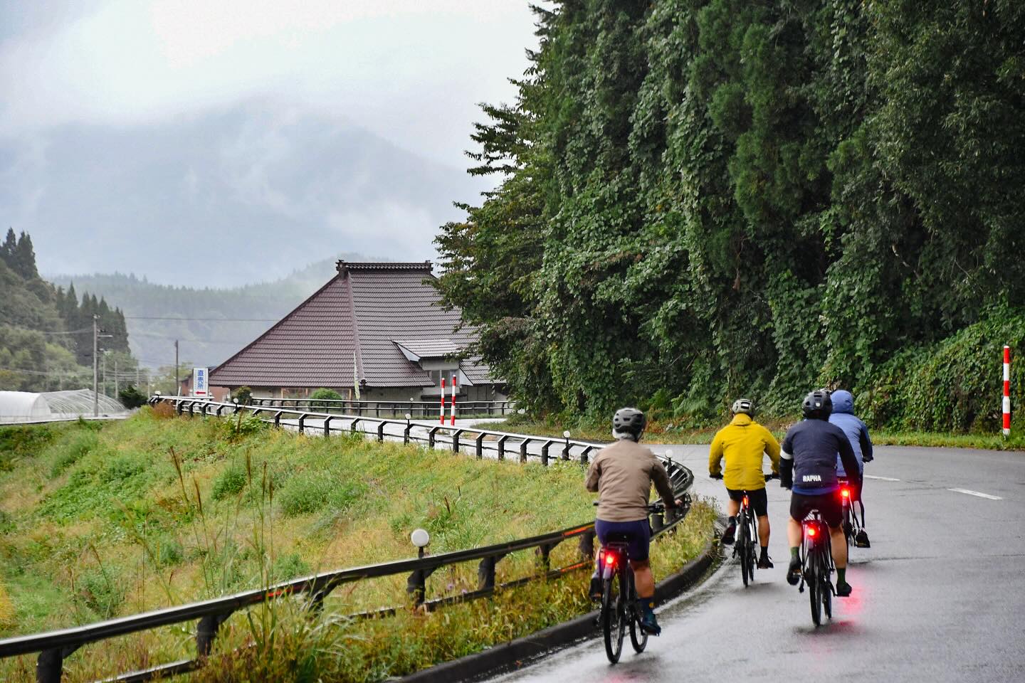 Colors of Autumn: Private Tours in Northern Japan